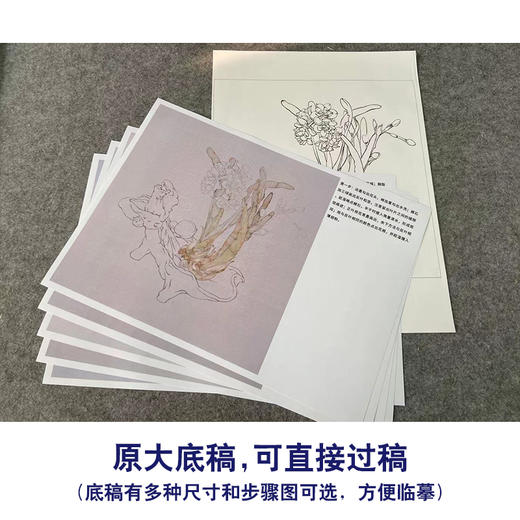 【有步骤】王震工笔画白描底稿斗方小品《凌波客》水仙花初学者临摹花鸟线稿WZ19 商品图1