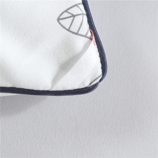 啄木鸟 亲肤绒花语秋冬被 2kg羽丝棉被 水洗抗菌被 商品图6