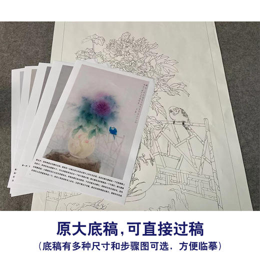 【有步骤】王震工笔画白描底稿《春风富贵花》博古花瓶初学者临摹花鸟线稿WZ05 商品图1