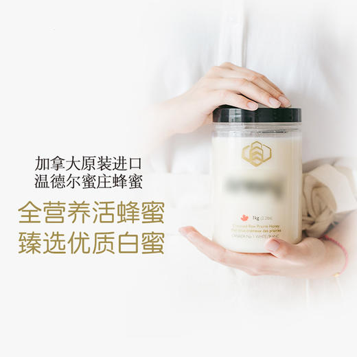加拿大wendell 温德尔庄园白蜜 蜂蜜瓶装 #山东仓 商品图3