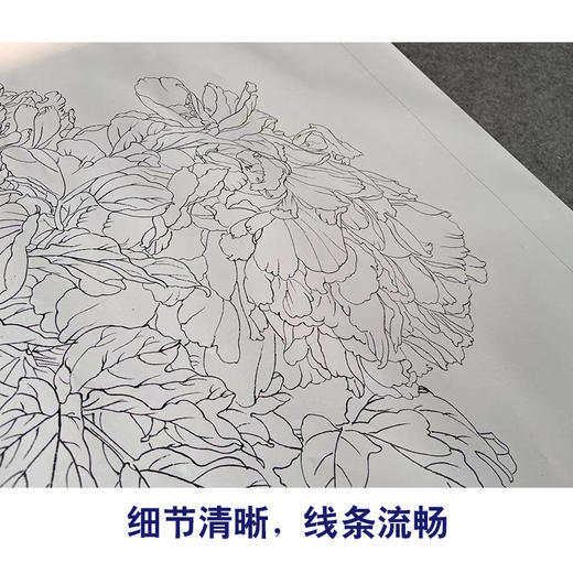 【有步骤】王震工笔画白描底稿斗方小品《天下谁人不识君》古瓶初学者临摹花鸟线稿WZ02 商品图4