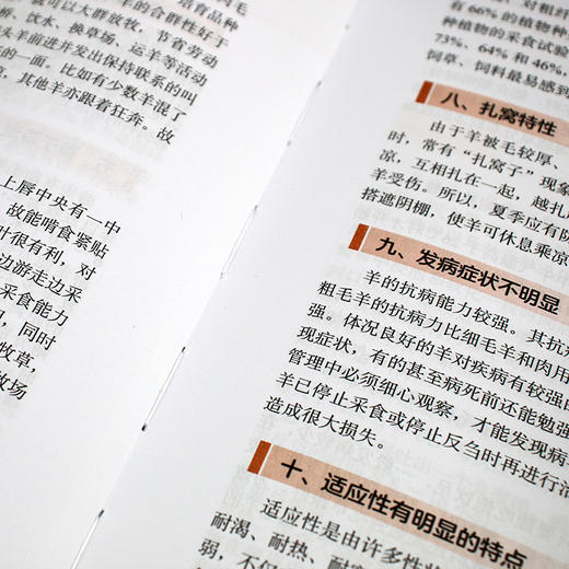 羊常见病中兽医诊治 商品图12