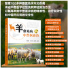 羊常见病中兽医诊治 商品缩略图0