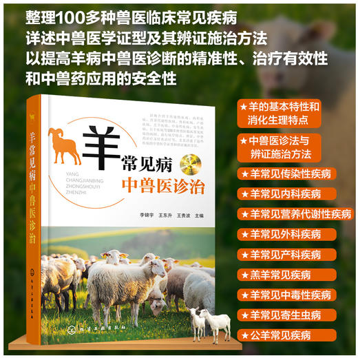羊常见病中兽医诊治 商品图0