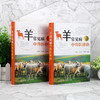 羊常见病中兽医诊治 商品缩略图1