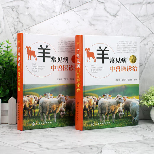 羊常见病中兽医诊治 商品图1
