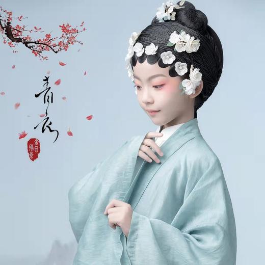 《青衣》 商品图0