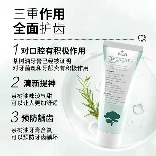 品牌直发 Dr.WILD 怀尔德 茶树油牙膏 75mL 商品图4