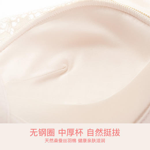 爱帝女士花卉底包边蕾丝文胸B杯型 商品图7