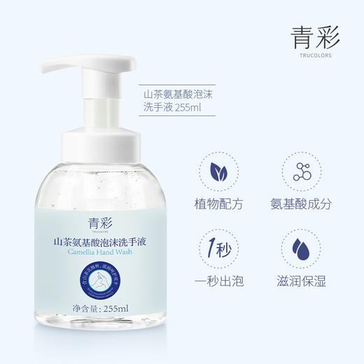 青彩山茶氨基酸泡沫洗手液 植物精粹滋润呵护双手保湿 255ml/瓶 商品图2