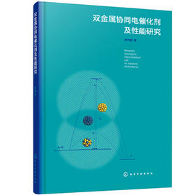 双金属协同电催化剂及性能研究