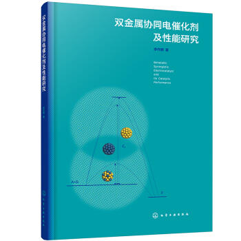双金属协同电催化剂及性能研究 商品图0