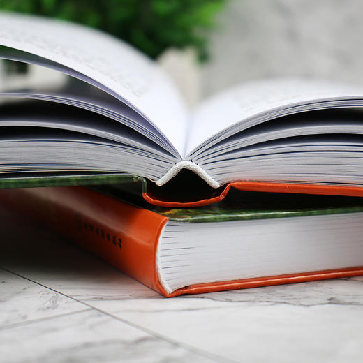 羊常见病中兽医诊治 商品图5