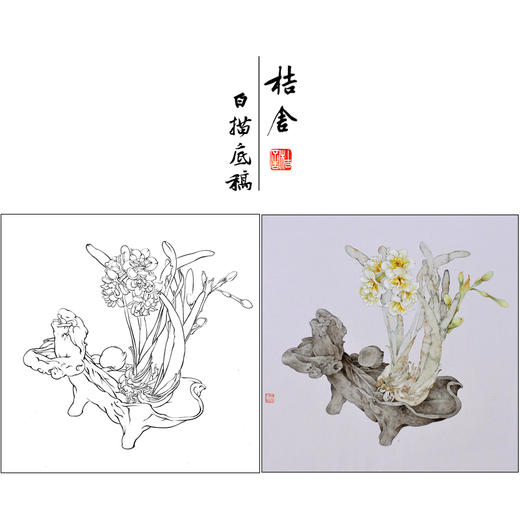 【有步骤】王震工笔画白描底稿斗方小品《凌波客》水仙花初学者临摹花鸟线稿WZ19 商品图0
