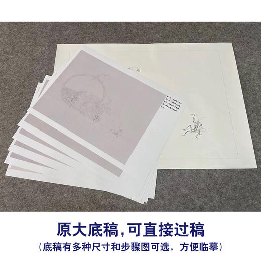 【有步骤】王震工笔画白描底稿小品《我有闲时趣》牡丹花篮初学者临摹花鸟线稿WZ11 商品图1
