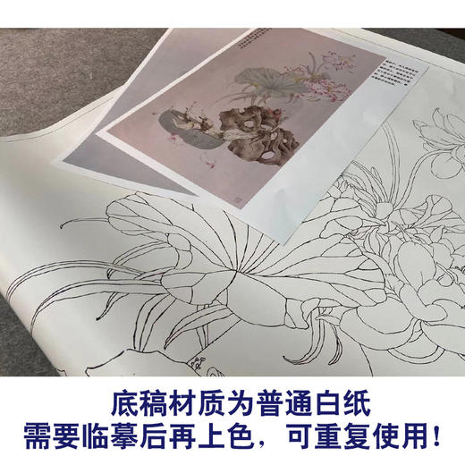 【有步骤】王震工笔画白描底稿《何曾一处不含香》博古花瓶初学者临摹花鸟线稿WZ29 商品图3