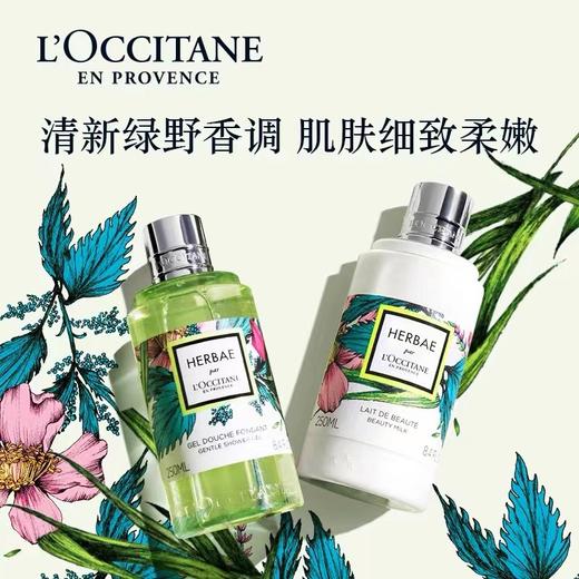 【特惠】欧舒丹 沐浴啫喱/沐浴油/身体乳 商品图3