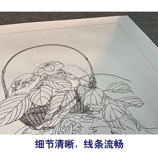 【有步骤、大彩图】王震工笔画白描底稿斗方小品《清供（秋）》花篮初学者临摹花鸟线稿WZ32 商品图4