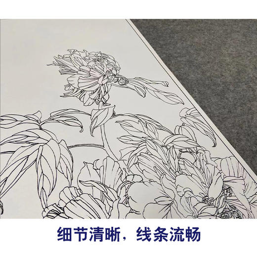 【有步骤】王震工笔画白描底稿博古画《且向芳邻问彼岸》花瓶初学者临摹花鸟线稿WZ17 商品图4