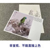 【有步骤】王震工笔画白描底稿斗方小品《能言亦可人》鹦鹉初学者临摹花鸟线稿WZ21 商品缩略图2