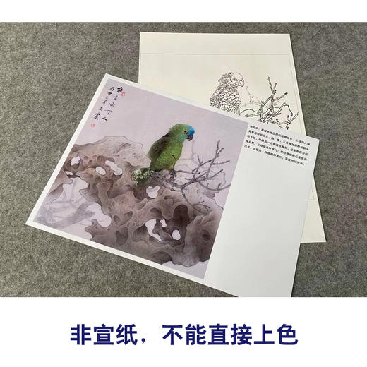 【有步骤】王震工笔画白描底稿斗方小品《能言亦可人》鹦鹉初学者临摹花鸟线稿WZ21 商品图2