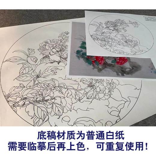 【有步骤】王震工笔画白描底稿圆形小品《踏春泥》山茶花初学者临摹花鸟线稿WZ27 商品图3