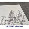 【有步骤】王震工笔画白描底稿斗方小品《能言亦可人》鹦鹉初学者临摹花鸟线稿WZ21 商品缩略图4