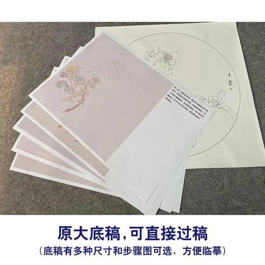 【有步骤】王震工笔画白描底稿圆形小品《茶花图》初学者临摹花鸟线稿WZ24 商品图2