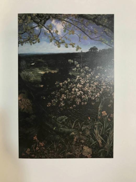 维多利亚时代英国绘画图集 170幅插图（70幅彩色） 精装大16开 商品图9