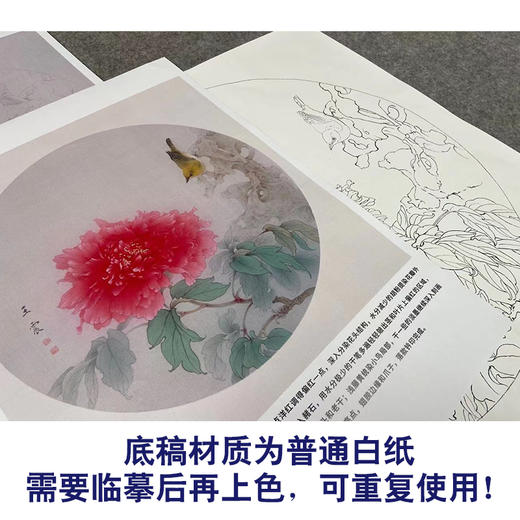 【有步骤】王震工笔画白描底稿圆形小品《牡丹圆光》牡丹翠鸟初学者临摹花鸟线稿WZ12 商品图4