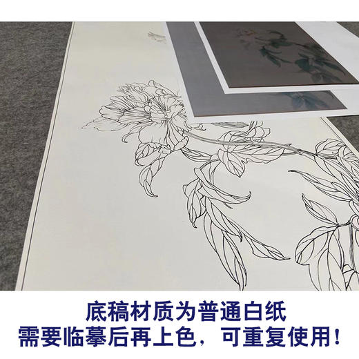 【有步骤】王震工笔画白描底稿《一朵闲花方舞》牡丹初学者临摹花鸟线稿WZ16 商品图3