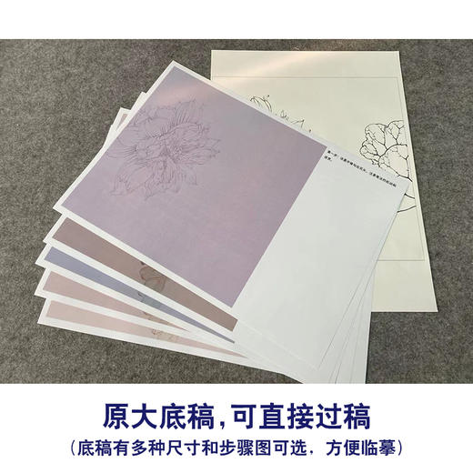 【有步骤】王震工笔画白描底稿斗方小品《与子偕老》荷花初学者临摹花鸟线稿WZ18 商品图1