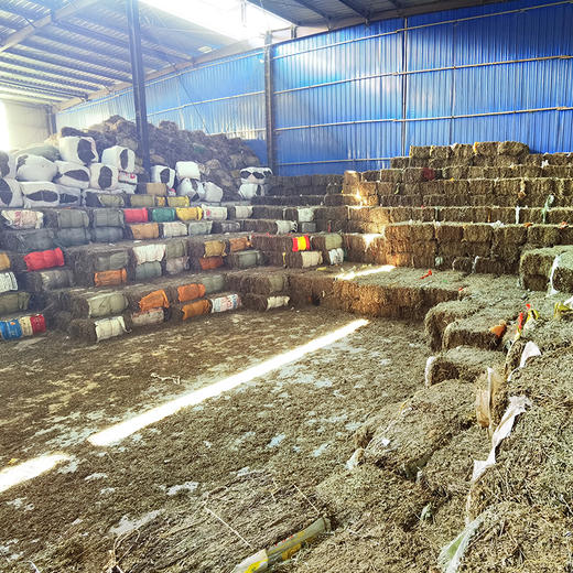 【艾草】 商品图1