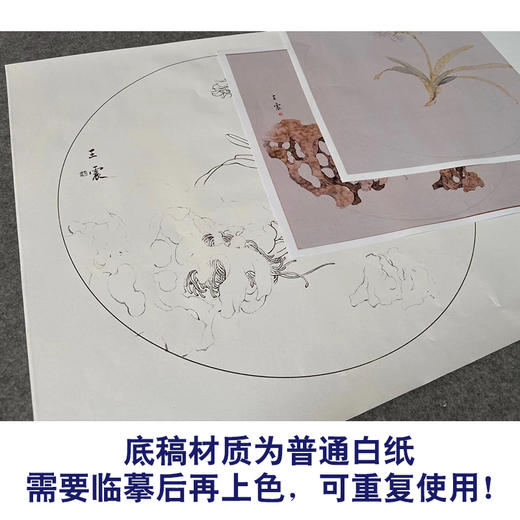 【有步骤】王震工笔画白描底稿圆形小品《水仙图》初学者临摹花鸟线稿WZ25 商品图3