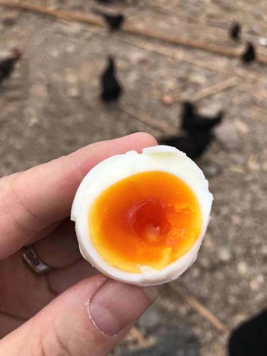 安叶家自产土鸡蛋30枚 商品图1