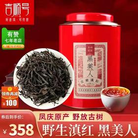 【礼品茶】2026滇红茶《黑美人》吉顺号新品滇红黑美人浓香型凤庆滇红茶500g