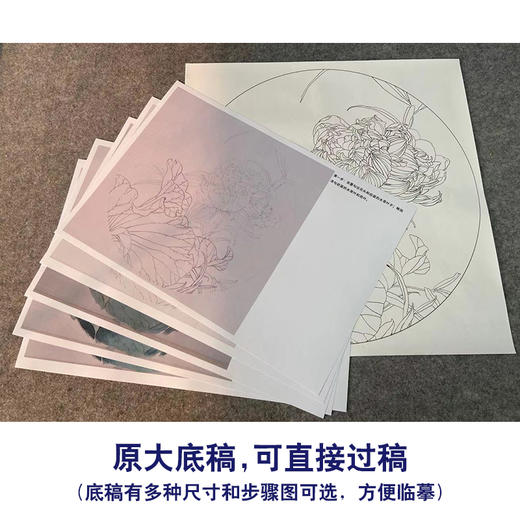 【有步骤】王震工笔画白描底稿圆形小品《荷花》初学者临摹花鸟线稿WZ26 商品图2