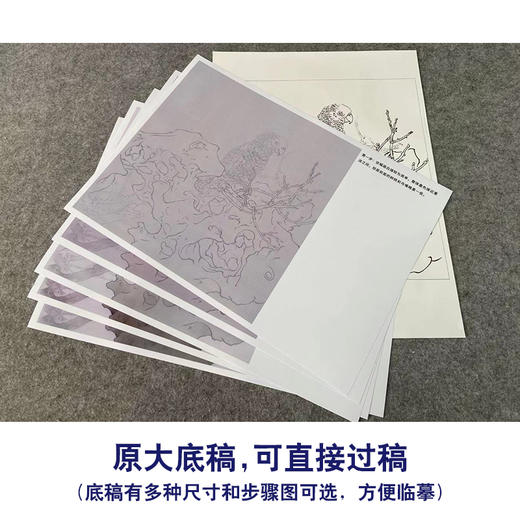 【有步骤】王震工笔画白描底稿斗方小品《能言亦可人》鹦鹉初学者临摹花鸟线稿WZ21 商品图1