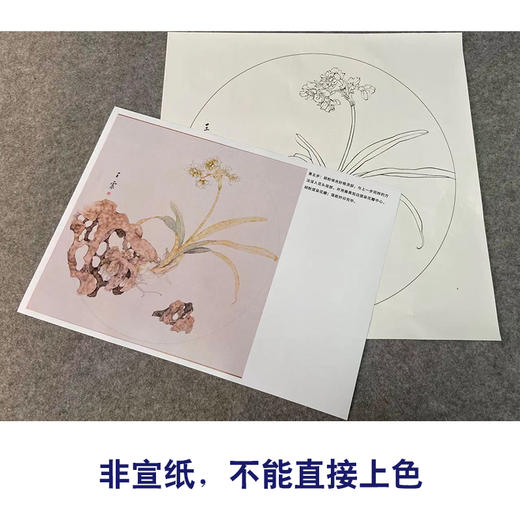 【有步骤】王震工笔画白描底稿圆形小品《水仙图》初学者临摹花鸟线稿WZ25 商品图2