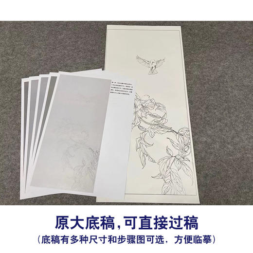 【有步骤】王震工笔画白描底稿《一朵闲花方舞》牡丹初学者临摹花鸟线稿WZ16 商品图1