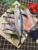 【顺丰包邮】青岛本地海捕—小鲐鲅鱼4斤装（每条半斤左右） 商品缩略图2