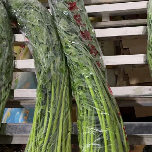 【下单后48小时左右发货】山东济南 章丘 鲍芹2斤装左右 商品图14