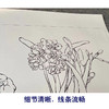 【有步骤】王震工笔画白描底稿斗方小品《凌波客》水仙花初学者临摹花鸟线稿WZ19 商品缩略图4