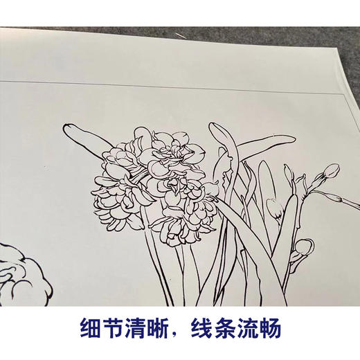 【有步骤】王震工笔画白描底稿斗方小品《凌波客》水仙花初学者临摹花鸟线稿WZ19 商品图4