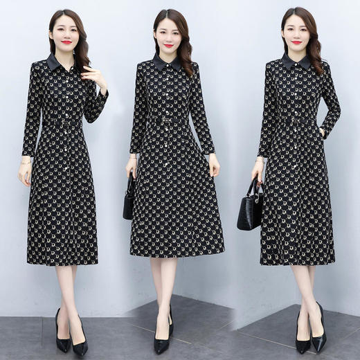 保暖修身，加厚加绒长袖女气质显瘦复古印花打底连衣裙HR-XYFS6257 商品图2
