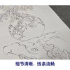 【有步骤】王震工笔画白描底稿博古画《春困久》花瓶初学者临摹花鸟线稿WZ13 商品缩略图4