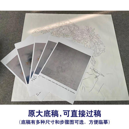 【有步骤】王震工笔画白描底稿斗方小品《天下谁人不识君》古瓶初学者临摹花鸟线稿WZ02 商品图1