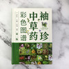 袖珍中草药彩色图谱（第二版) 商品缩略图1
