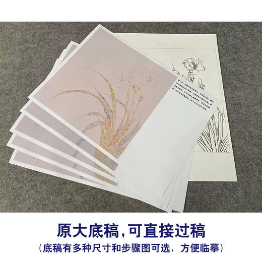 【有步骤】王震工笔画白描底稿斗方小品《忘忧》萱草初学者临摹花鸟线稿WZ22 商品图1