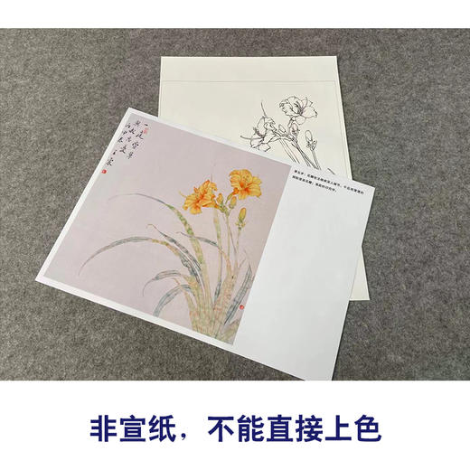 【有步骤】王震工笔画白描底稿斗方小品《忘忧》萱草初学者临摹花鸟线稿WZ22 商品图2